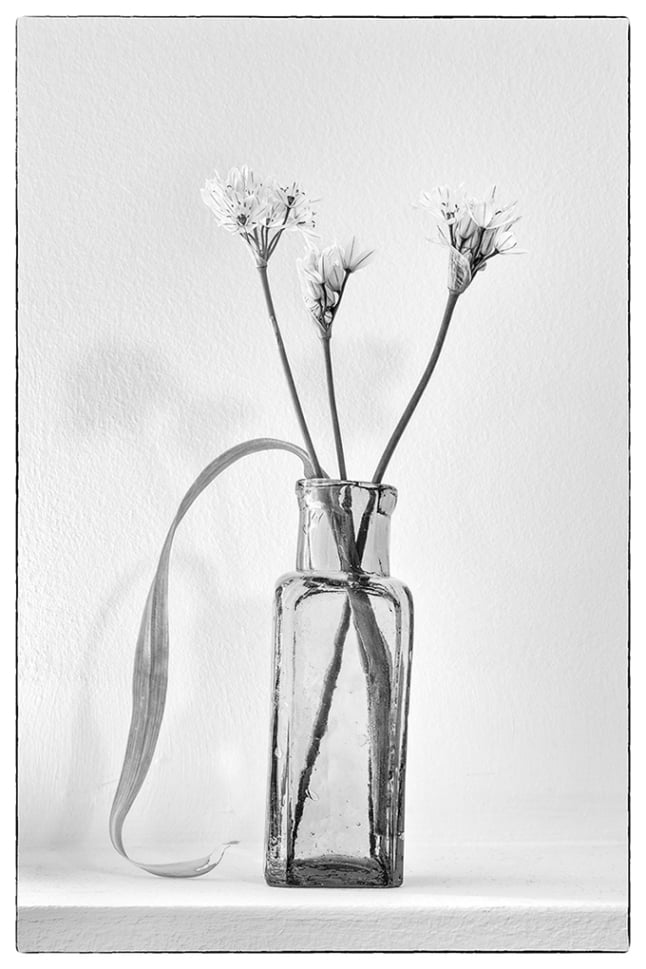 2nd - Advanced Mono