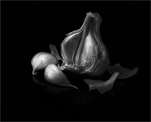 Garlic Silhouette