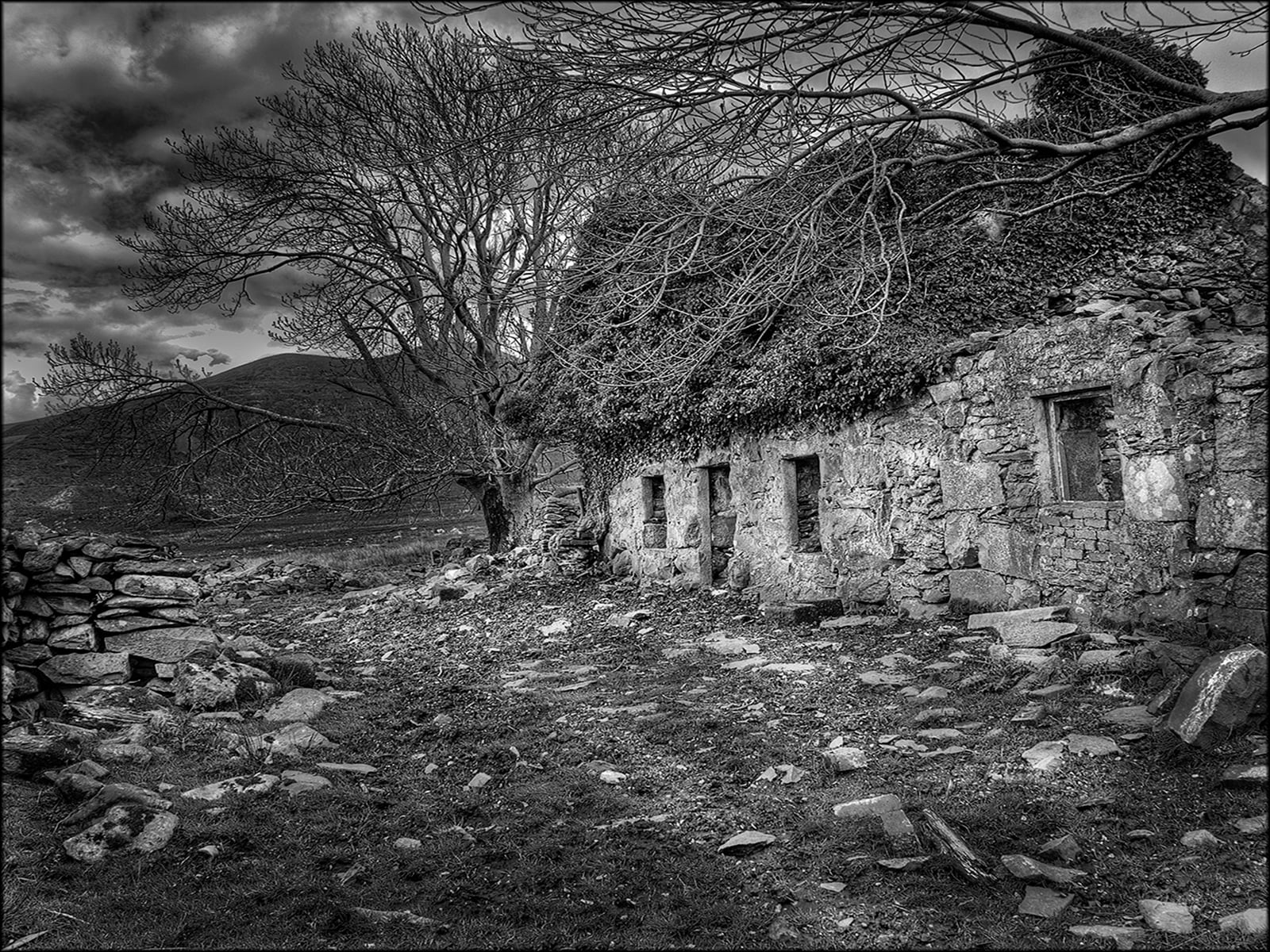 Snowdon Cottage