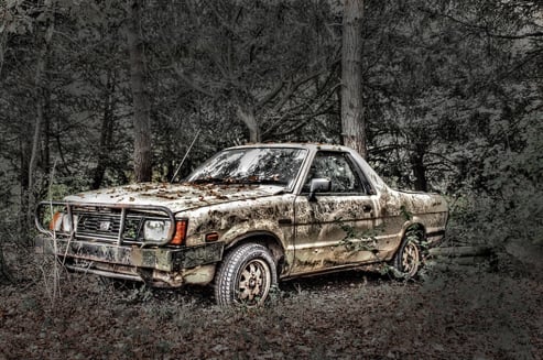 Subaru in Forest